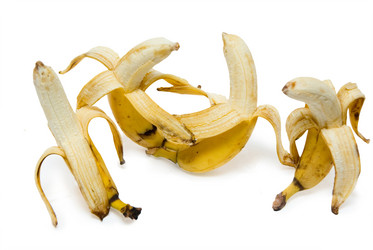 Similar image 288522