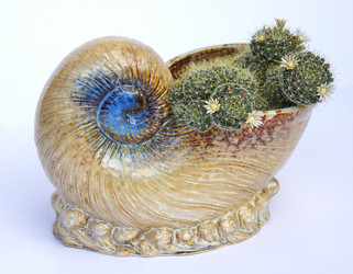 Similar image 288523