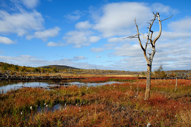 Similar image 288528