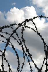 Similar image 288542