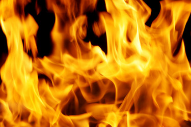 Similar image 288615