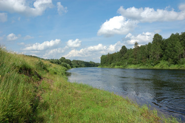 Similar image 288620