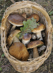 Similar image 288646