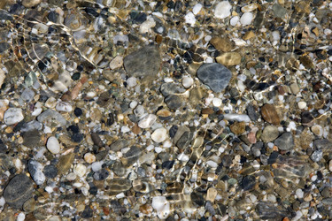 Similar image 288652