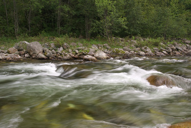 Similar image 288653