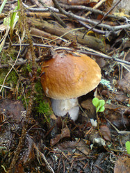 Similar image 288662