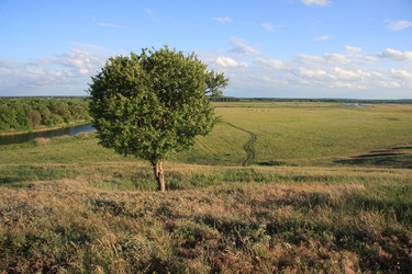 Similar image 288667