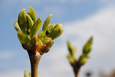 Similar image 288690