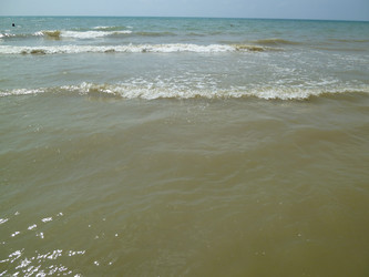 Similar image 288719