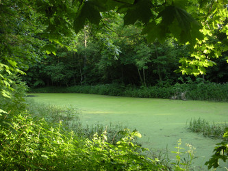 Similar image 288724