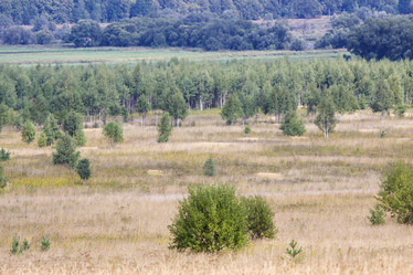 Similar image 288731