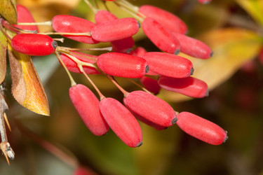 Similar image 288787