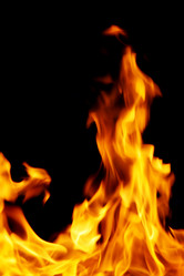 Similar image 288808