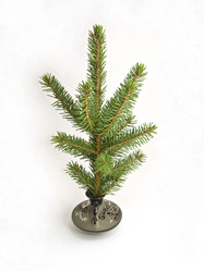 Similar image 288826