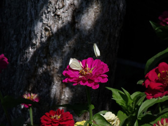 Similar image 288842