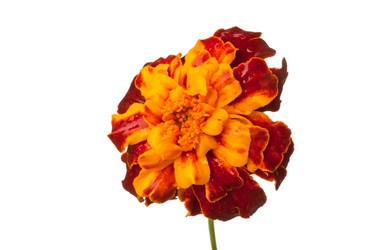 Similar image 288844