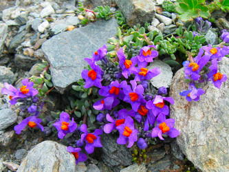 Similar image 288845