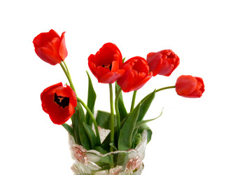 Similar image 288846