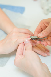 Similar image 288851