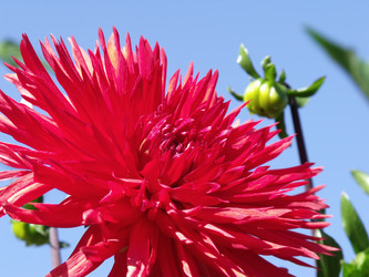 Similar image 288852