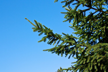 Similar image 288873