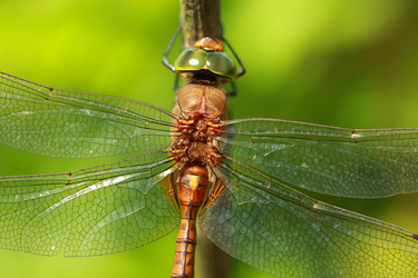 Similar image 288875