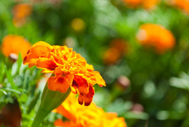 Similar image 288929