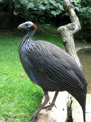 Similar image 288930