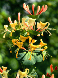 Similar image 288936