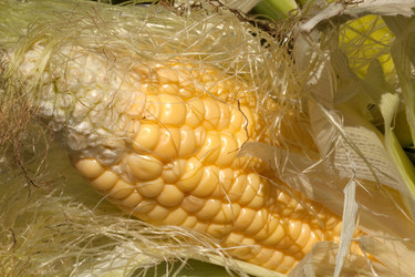 Similar image 288940