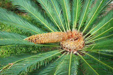 Similar image 288942