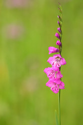 Similar image 288951