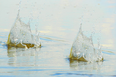 Similar image 288967