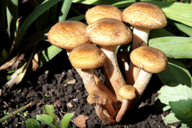 Similar image 288975