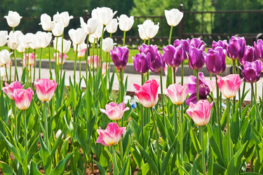 Similar image 288976