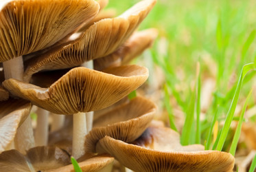 Similar image 288978