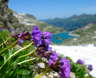 Similar image 288981