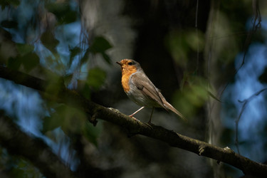 Similar image 288985