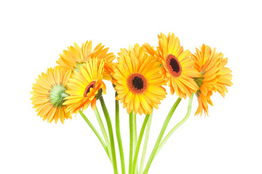 Similar image 289039