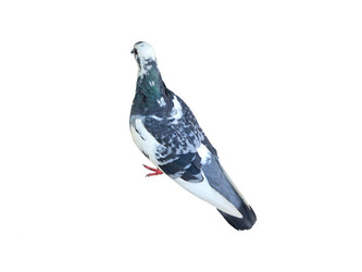 Similar image 289044