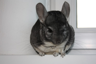 Similar image 289050