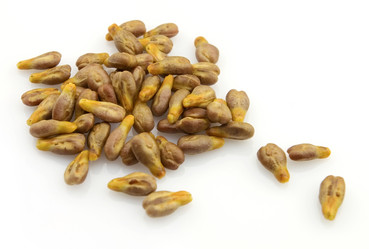 Similar image 289162