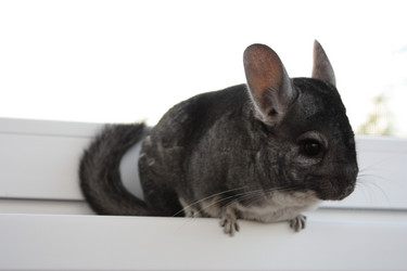 Similar image 289172