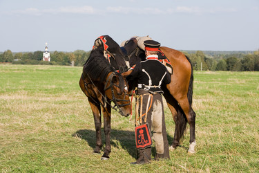 Similar image 289185