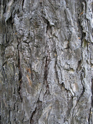 Similar image 289200