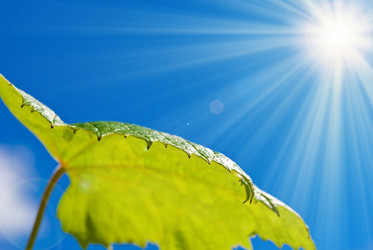 Similar image 289212