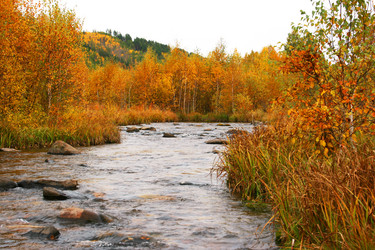 Similar image 289243