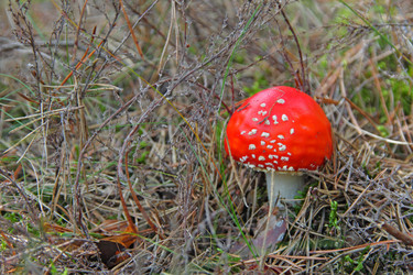 Similar image 289246