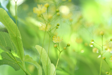 Similar image 289252