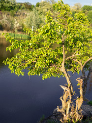 Similar image 289296